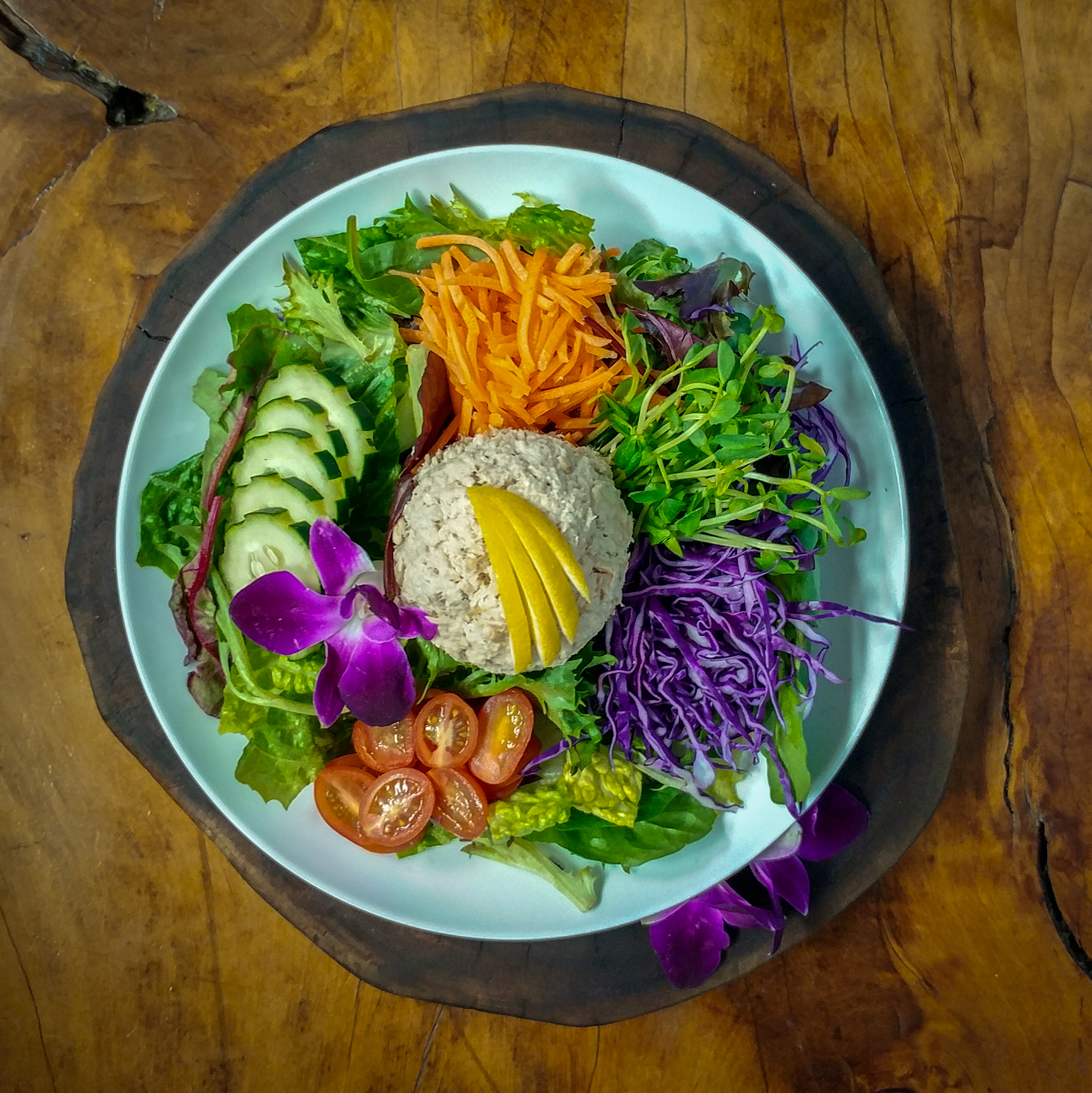 Plated Cuisine - Photo by Josh Utley