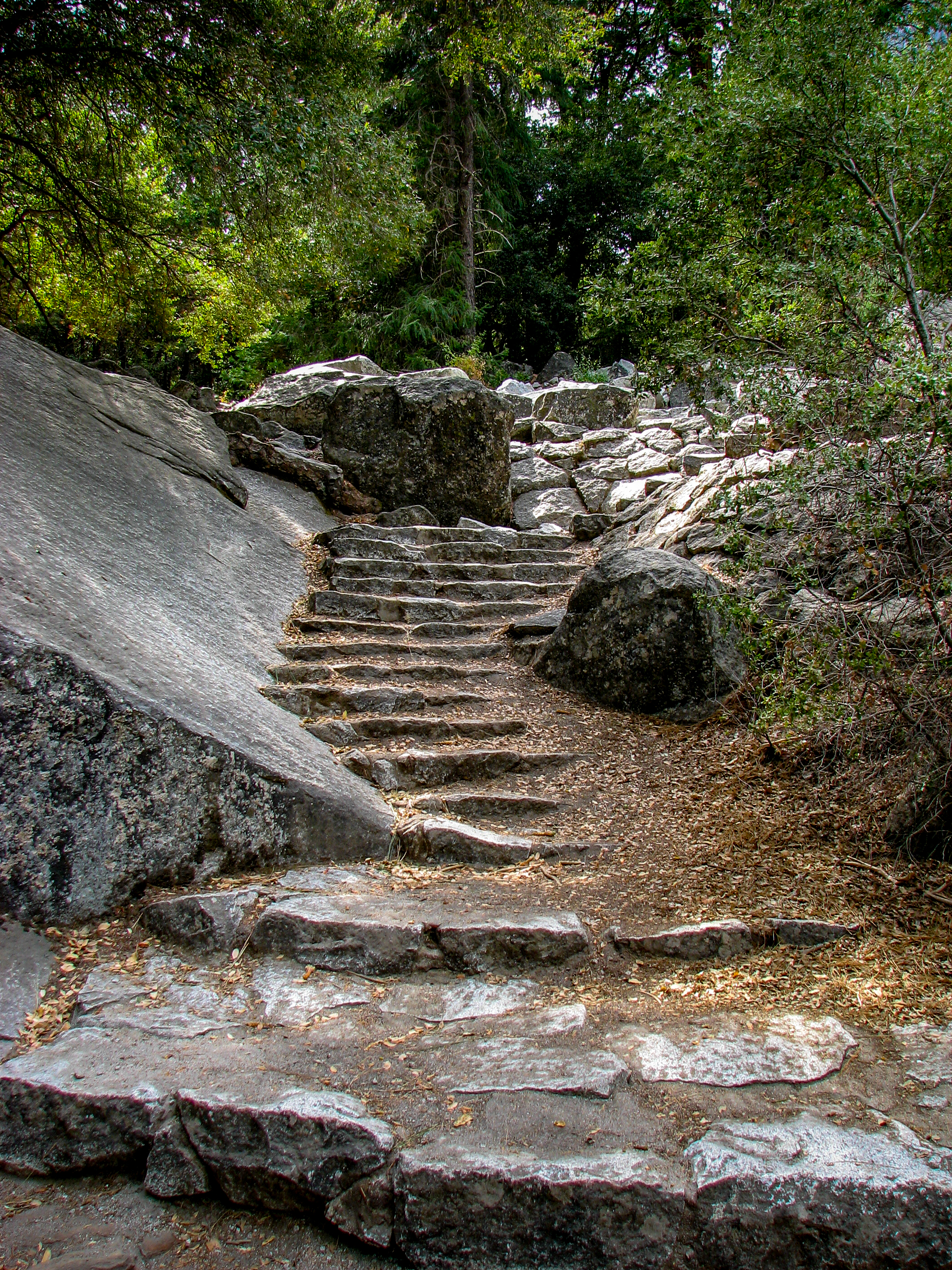 One Step at a Time - Photo by Josh Utley