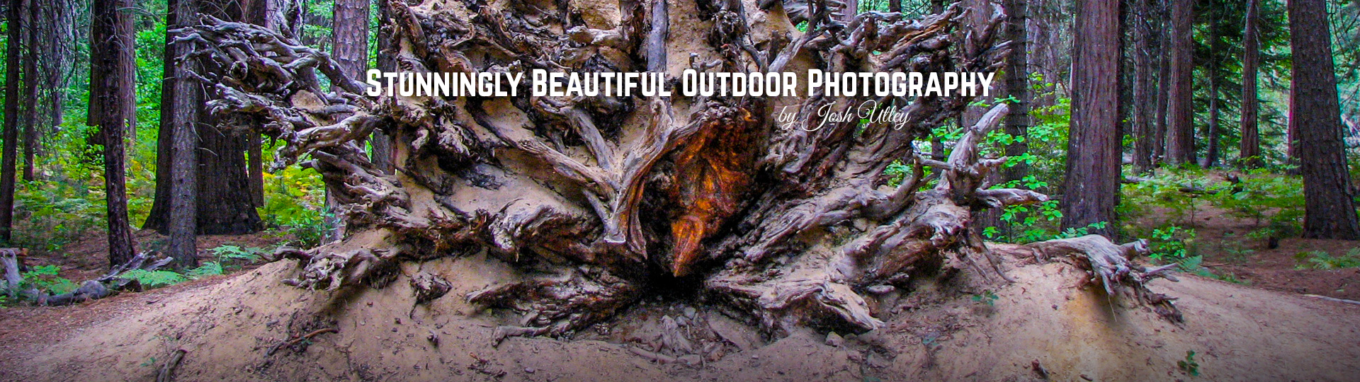 Stunningly Beautiful Outdoor Photography by Josh Utley