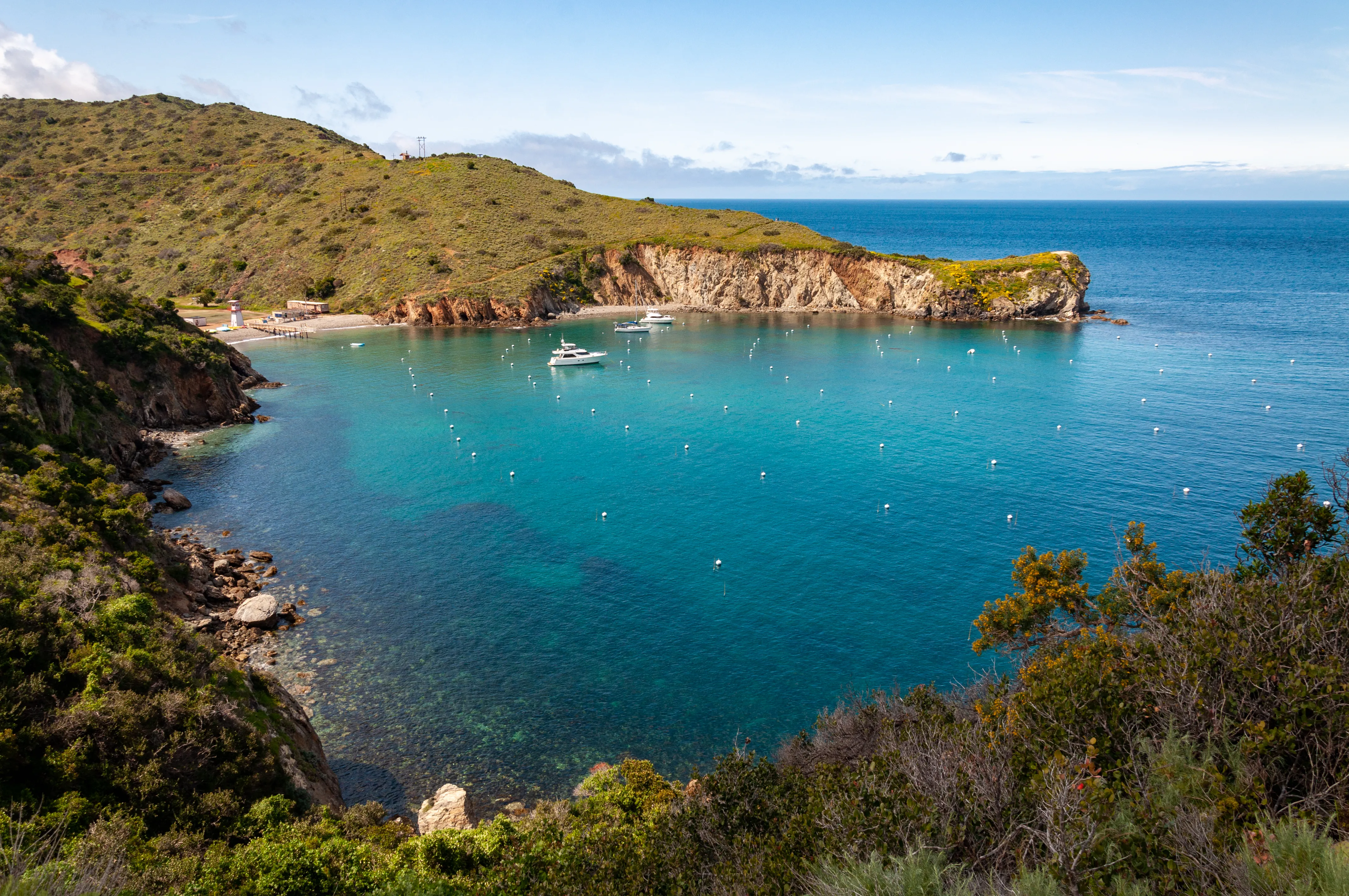 Cherry Cove Catalina Island - Photo by Josh Utley